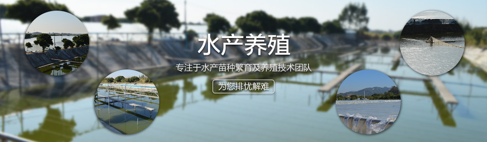 广东五龙岗水产科技发展有限公司